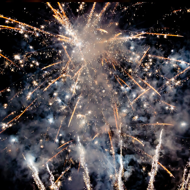 silvester03