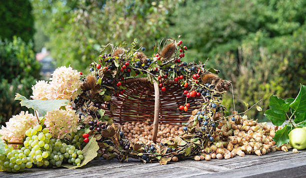 Sommerangebot im Parkhotel Bad Krozingen mit 4 Tagen Wellness und Erholung nahe der Vita Classica Therme